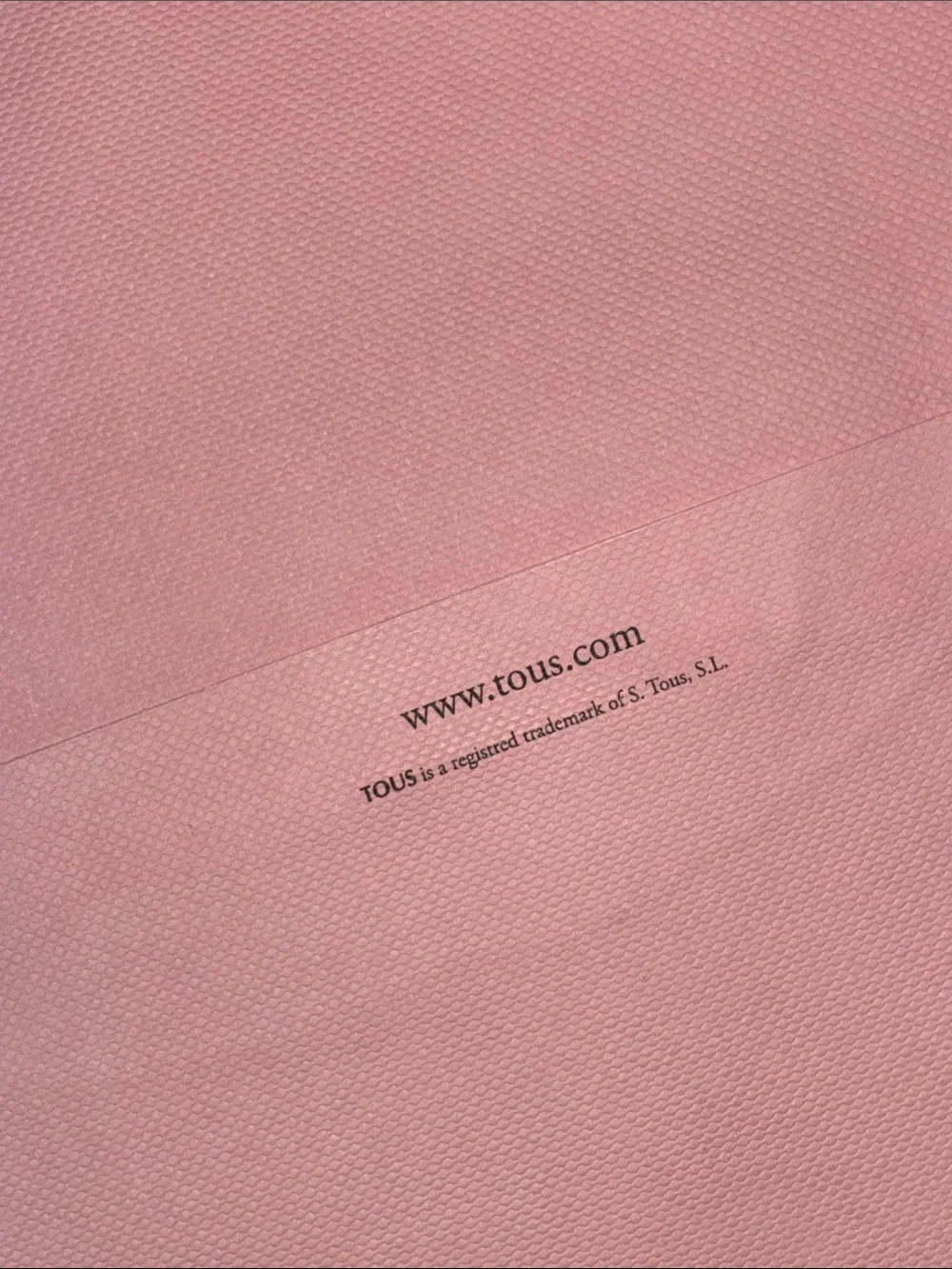 🐽 TOUS XL Gift Bag ~ Baby Pink